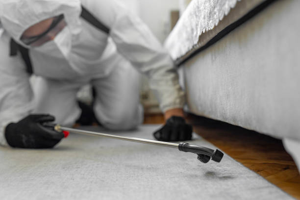 Professional Bed Bug Control technician working in Hurst, TX