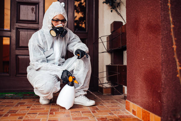 Reliable Bed Bug Control contractor in Hurst, TX by Nex Pest Control